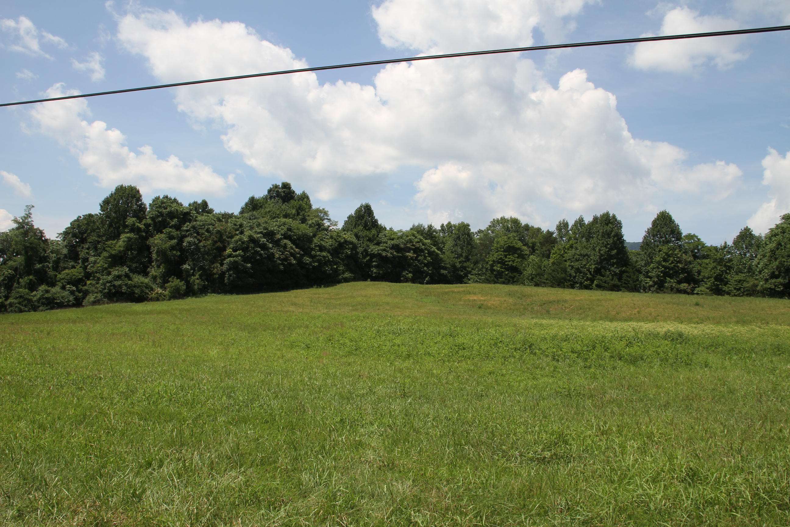 0 Carter Holw Road Blue Ridge, VA 24064 - Photo 4 of 17