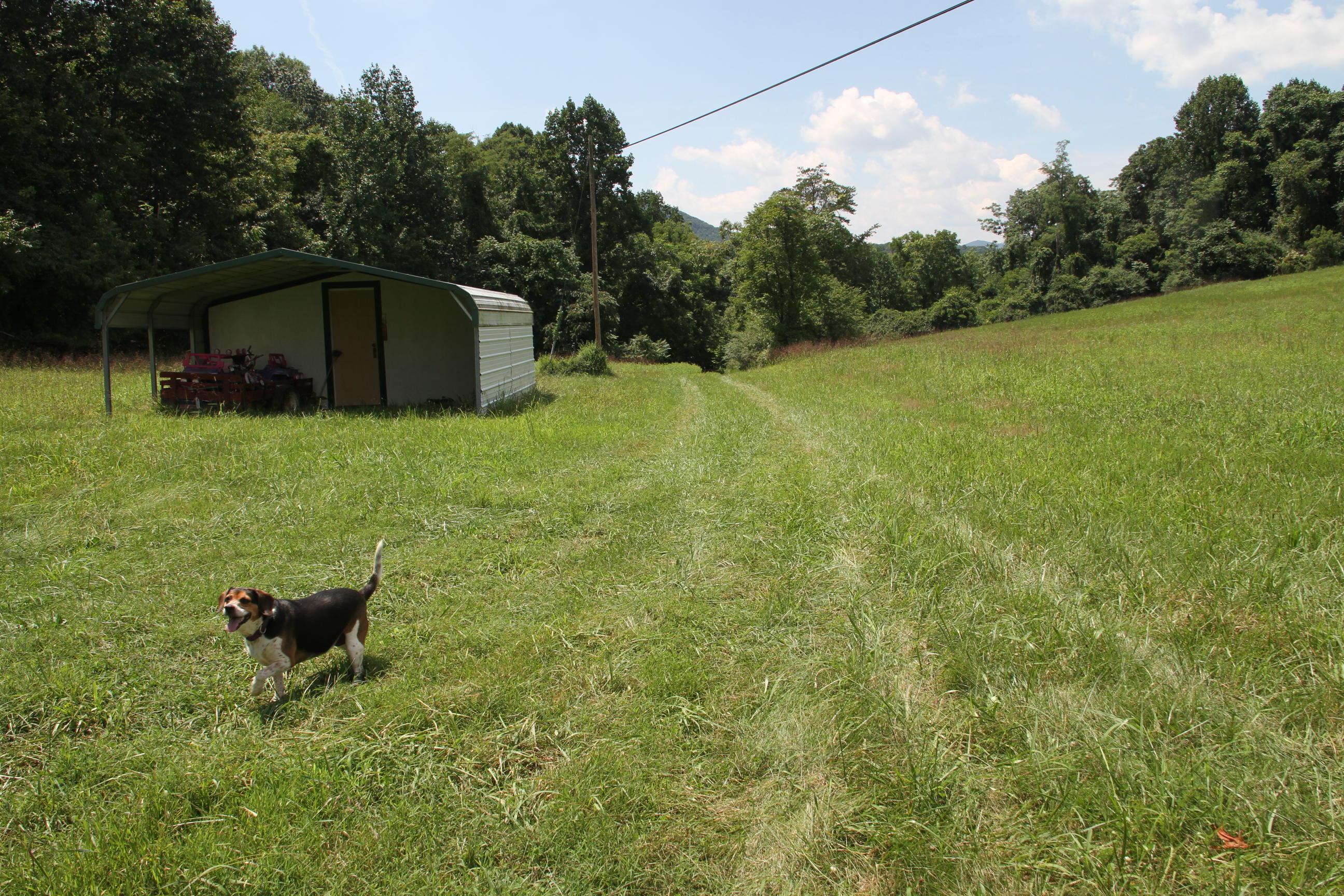 0 Carter Holw Road Blue Ridge, VA 24064 - Photo 6 of 17 a backyard of a house with lots of green space