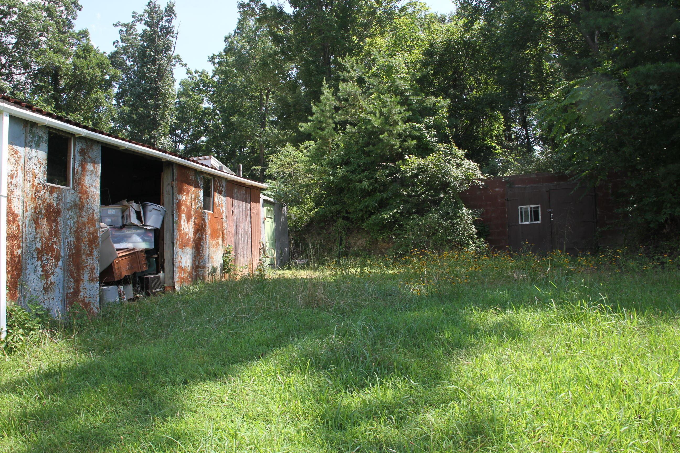 0 Carter Holw Road Blue Ridge, VA 24064 - Photo 7 of 17 a backyard of a house with lawn chairs and a large tree