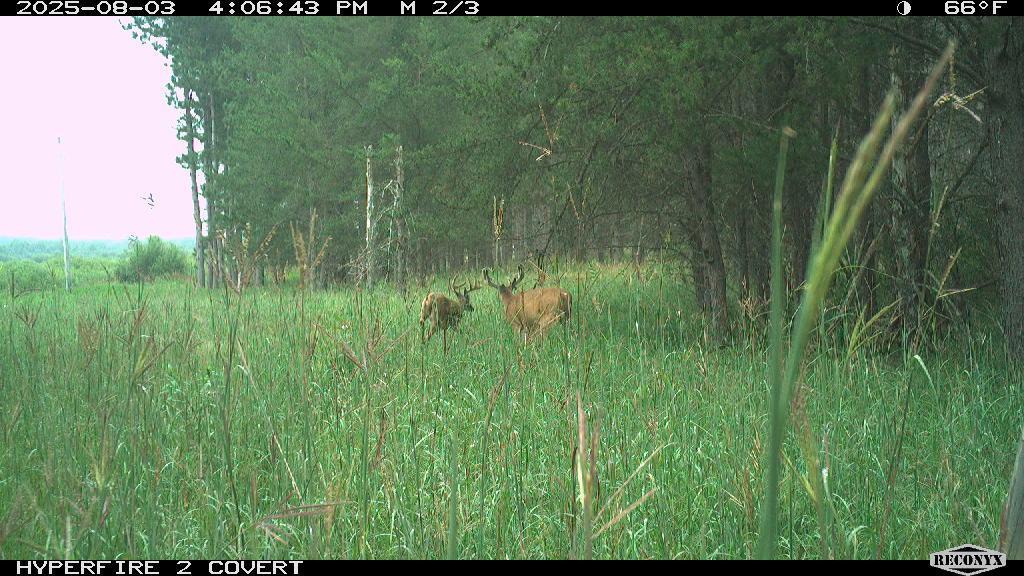 Tbd 96th Street Southwest Motley, MN 56466 - Photo 55 of 80 Gallery Image 55