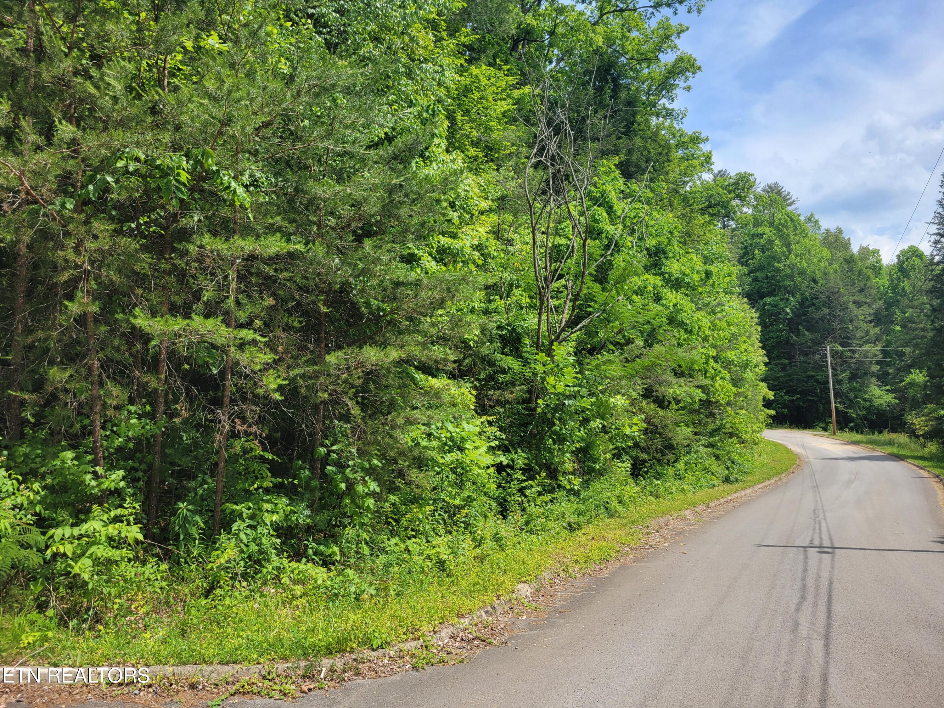 Lot 14 Peace Lane Cosby, TN 37722 - Photo 5 of 8 20260519_150702