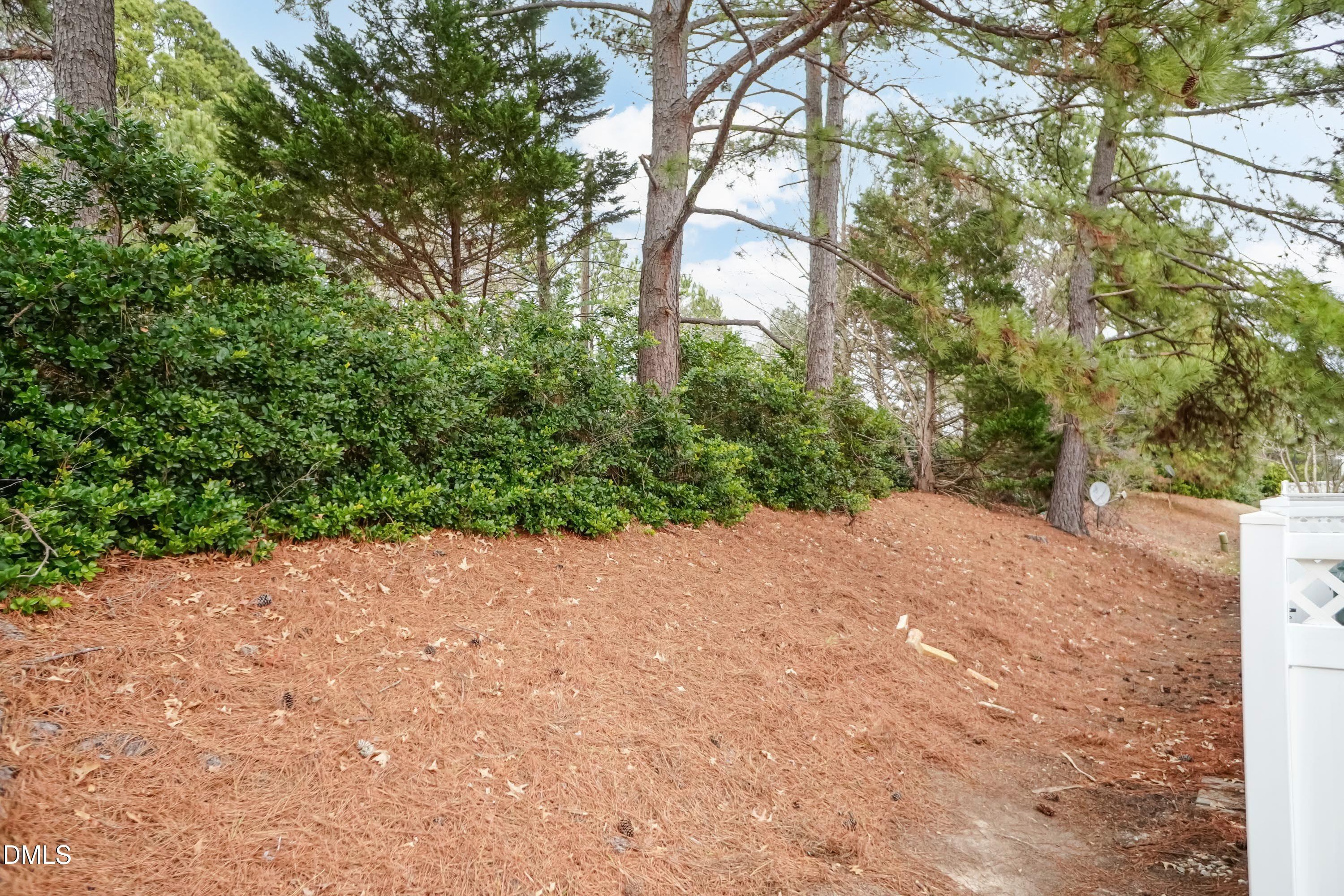 5141 TwelvePole Drive Raleigh, NC 27616 - Photo 37 of 40 a view of a backyard of a house