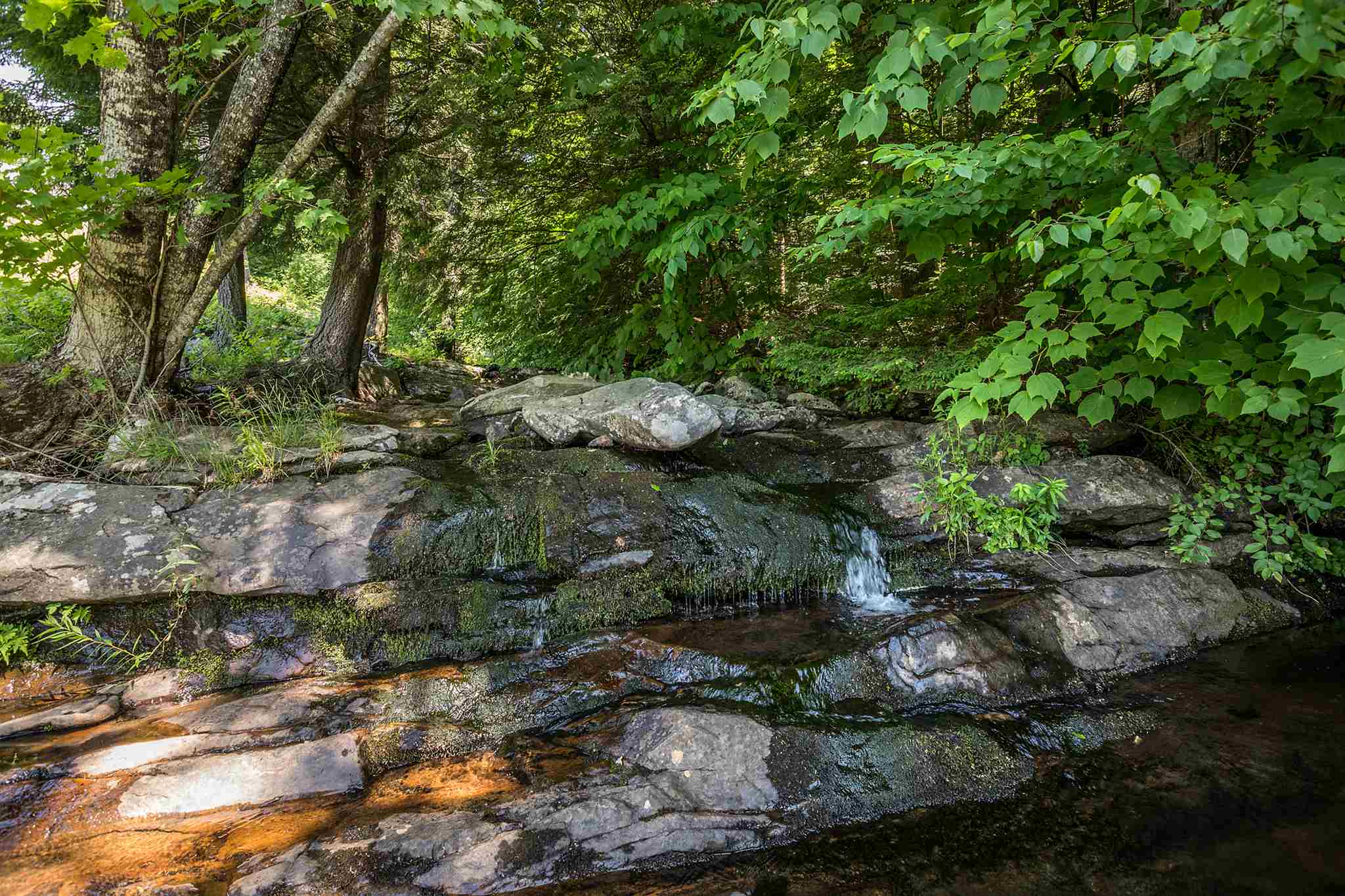 206 Landgrove Road Landgrove, VT 05148 - Photo 25 of 39