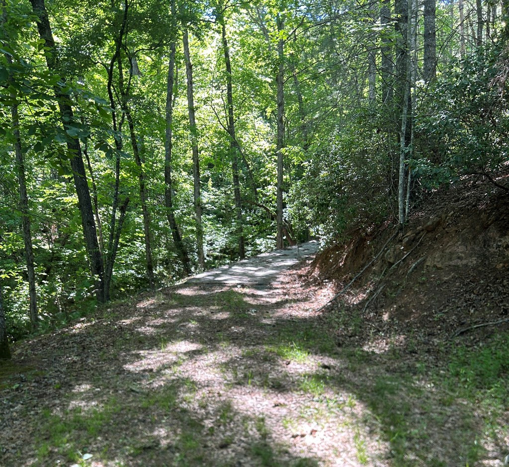 Lot 38 River Ridge Murphy, NC 28906 - Photo 4 of 16