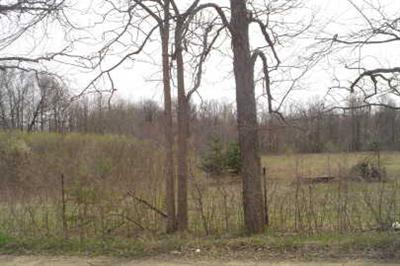4625 East Charles Road Ionia, MI 48846 - Photo 1 of 1 Primary Photo