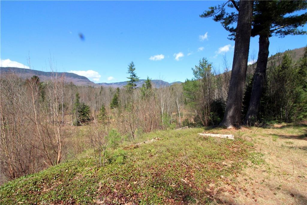 1 Deer Hill Road Fryeburg, ME 04037 - Photo 15 of 34 Looking towards the Basin