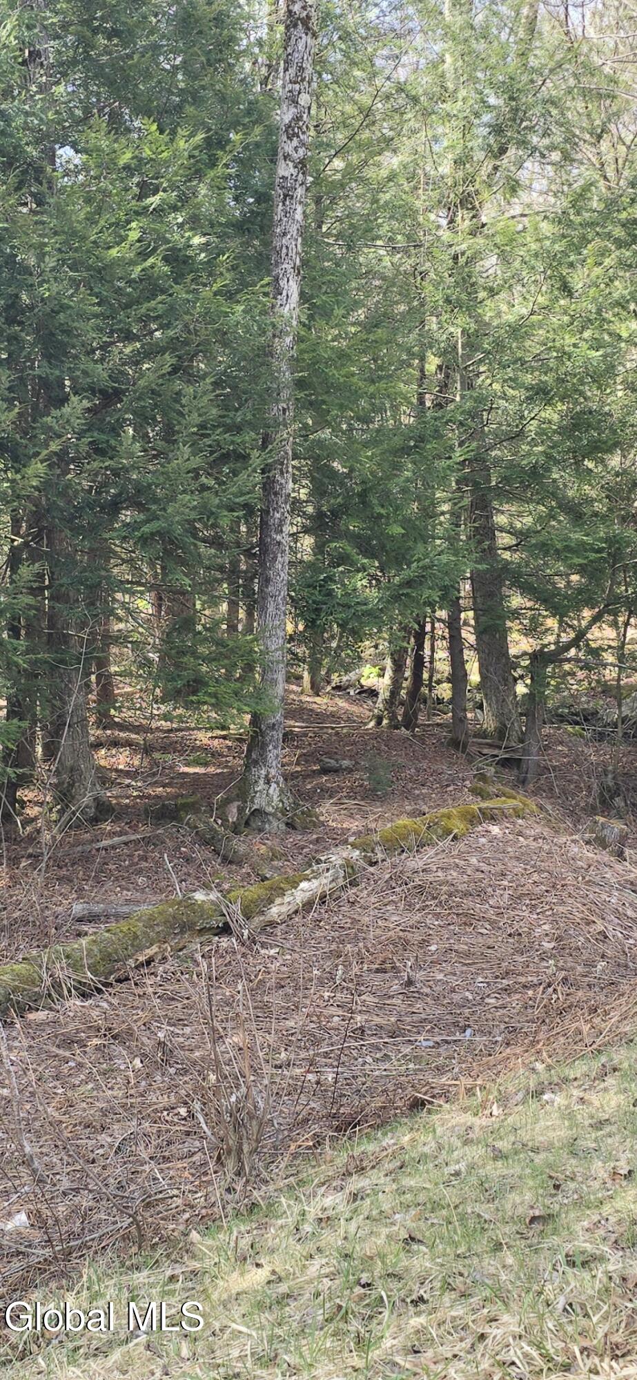 L45 Jacobs Ladder Road Becket, MA 01223 - Photo 6 of 10 Becket