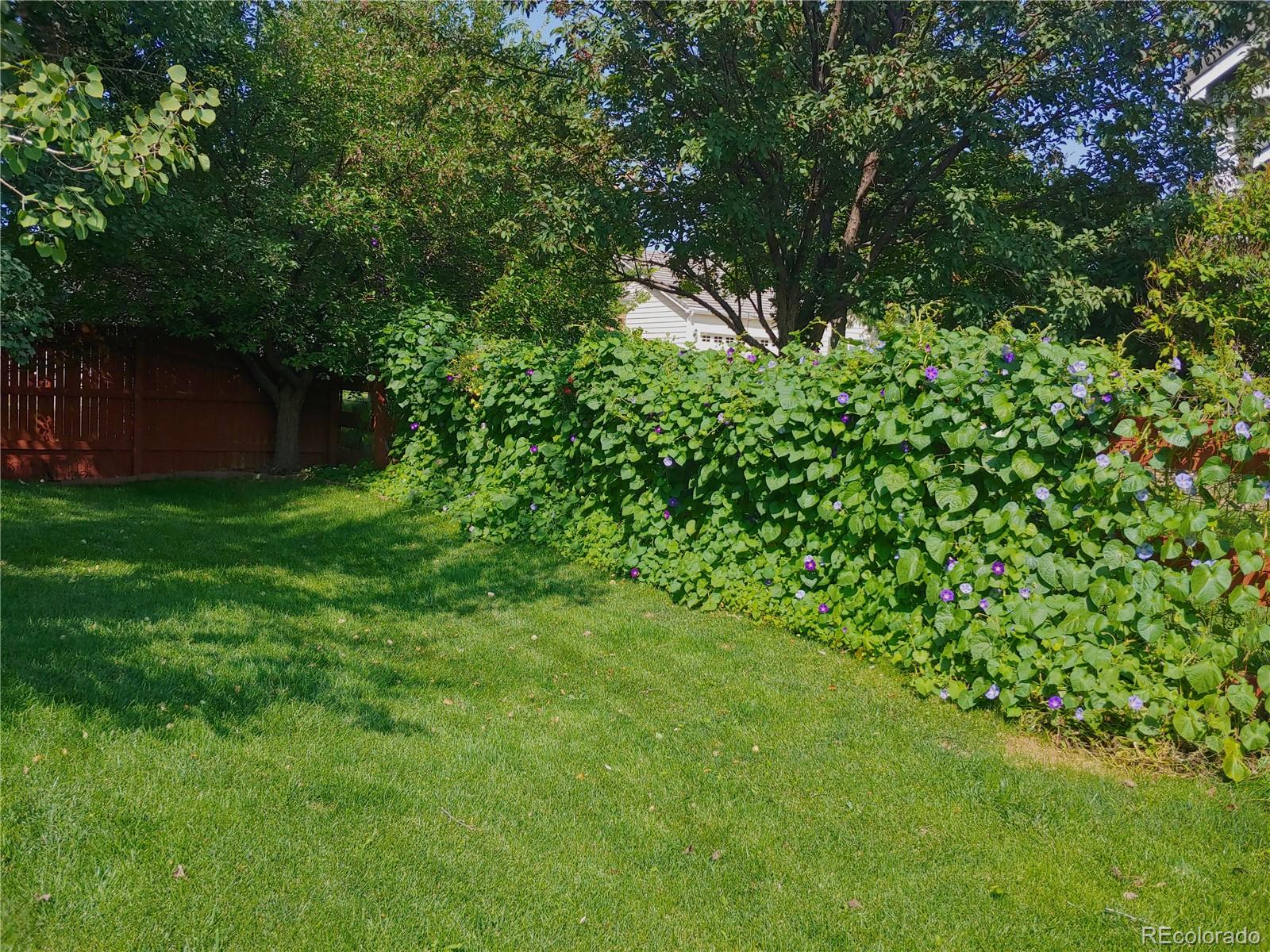 3914 Rannoch Street Fort Collins, CO 80524 - Photo 37 of 40 Gallery Image 37