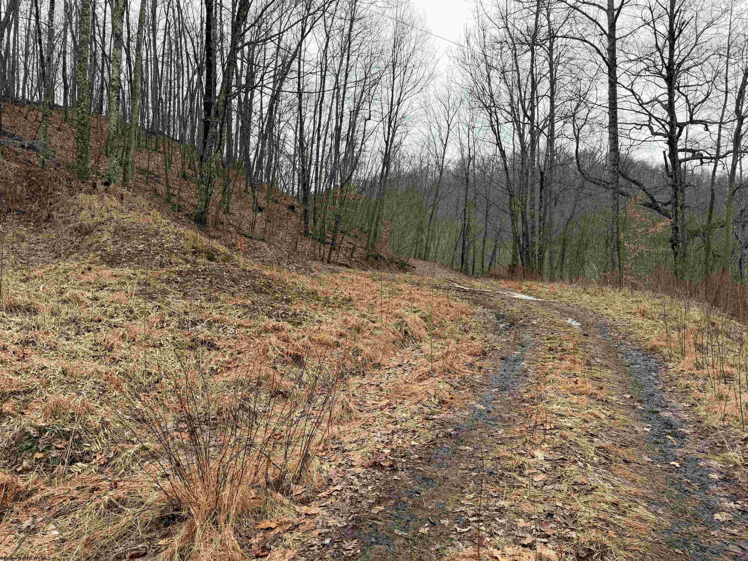 Tbd Carrolton Road Buckhannon, WV 26201 - Photo 5 of 37 Gallery Image 5