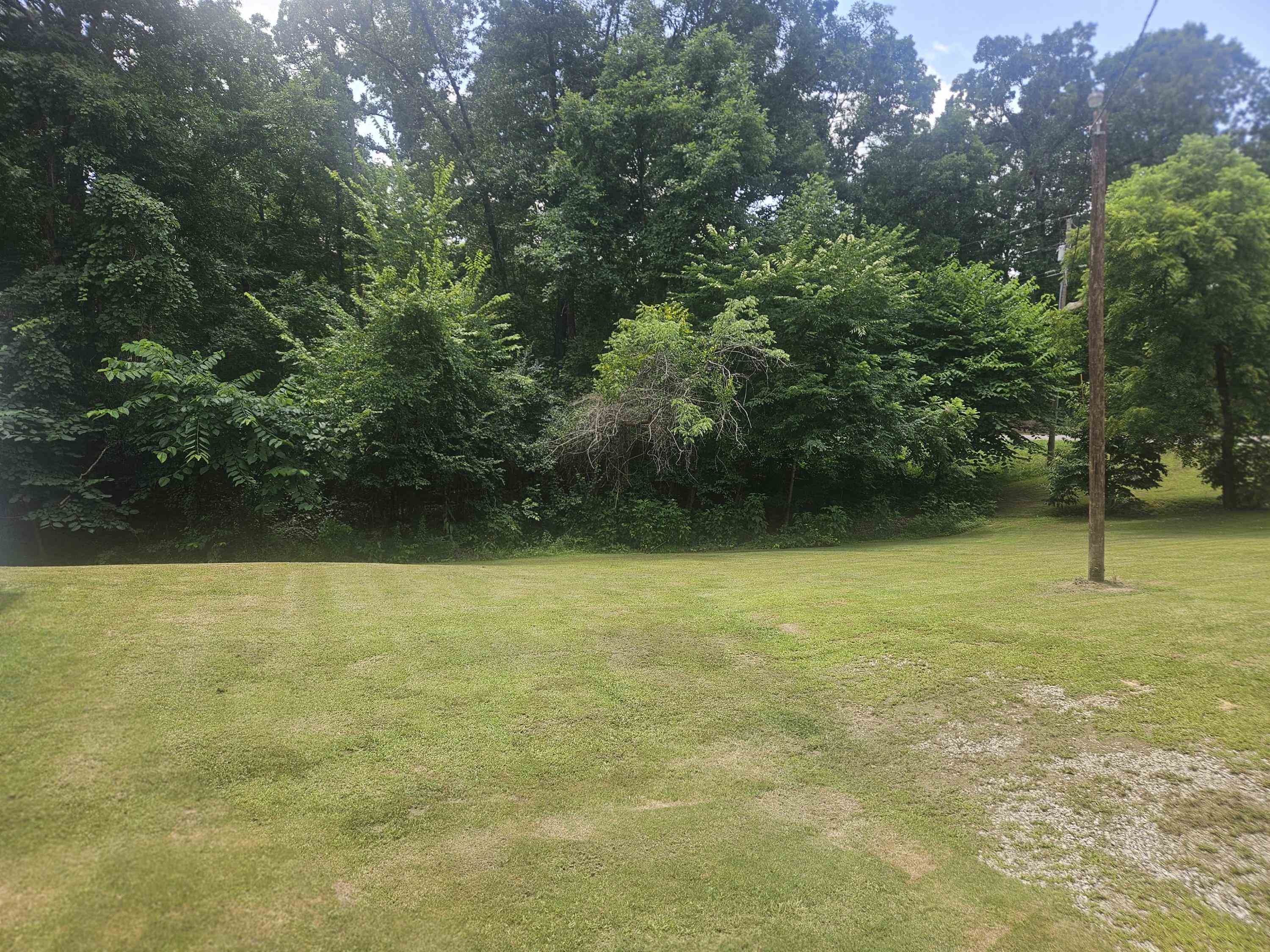 75 Pittman Road, Unit ROAD Somerville, TN 38068 - Photo 24 of 26 Expansive grassy area bordered by a dense tree line