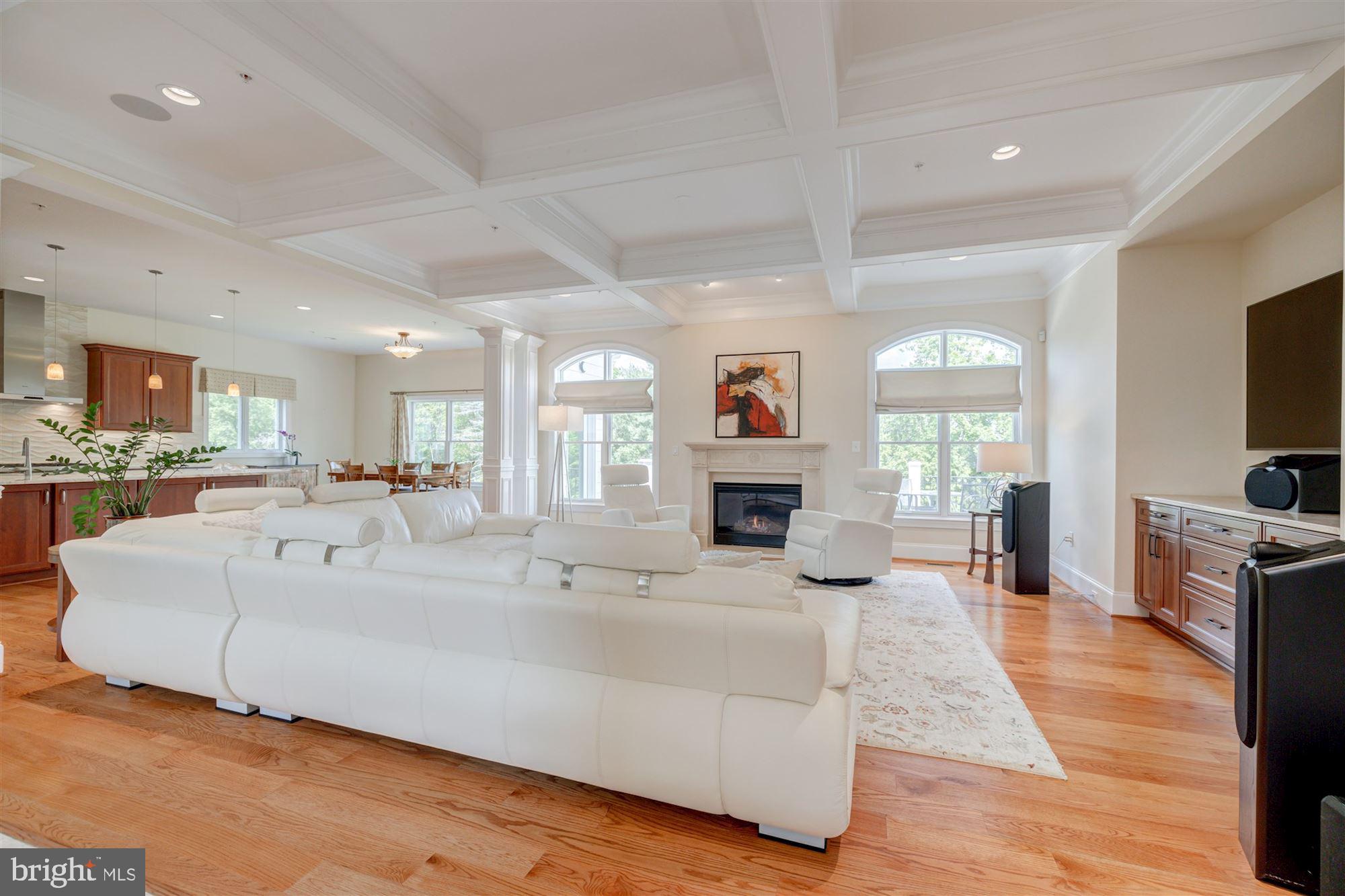 9810 Hall Road Potomac, MD 20854 - Photo 3 of 77 coffered ceiling detail