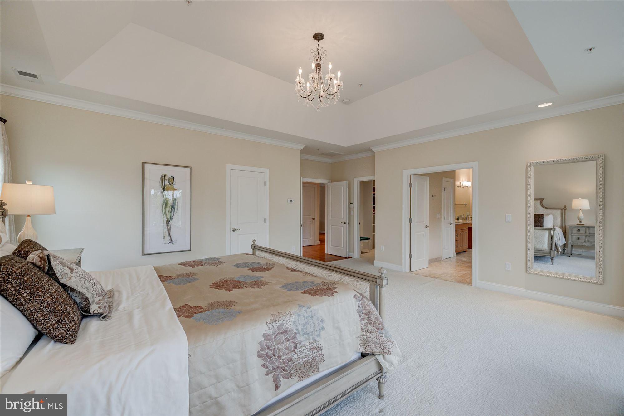 9810 Hall Road Potomac, MD 20854 - Photo 34 of 77 view towards Spa Bath and cavernous walk-in closet