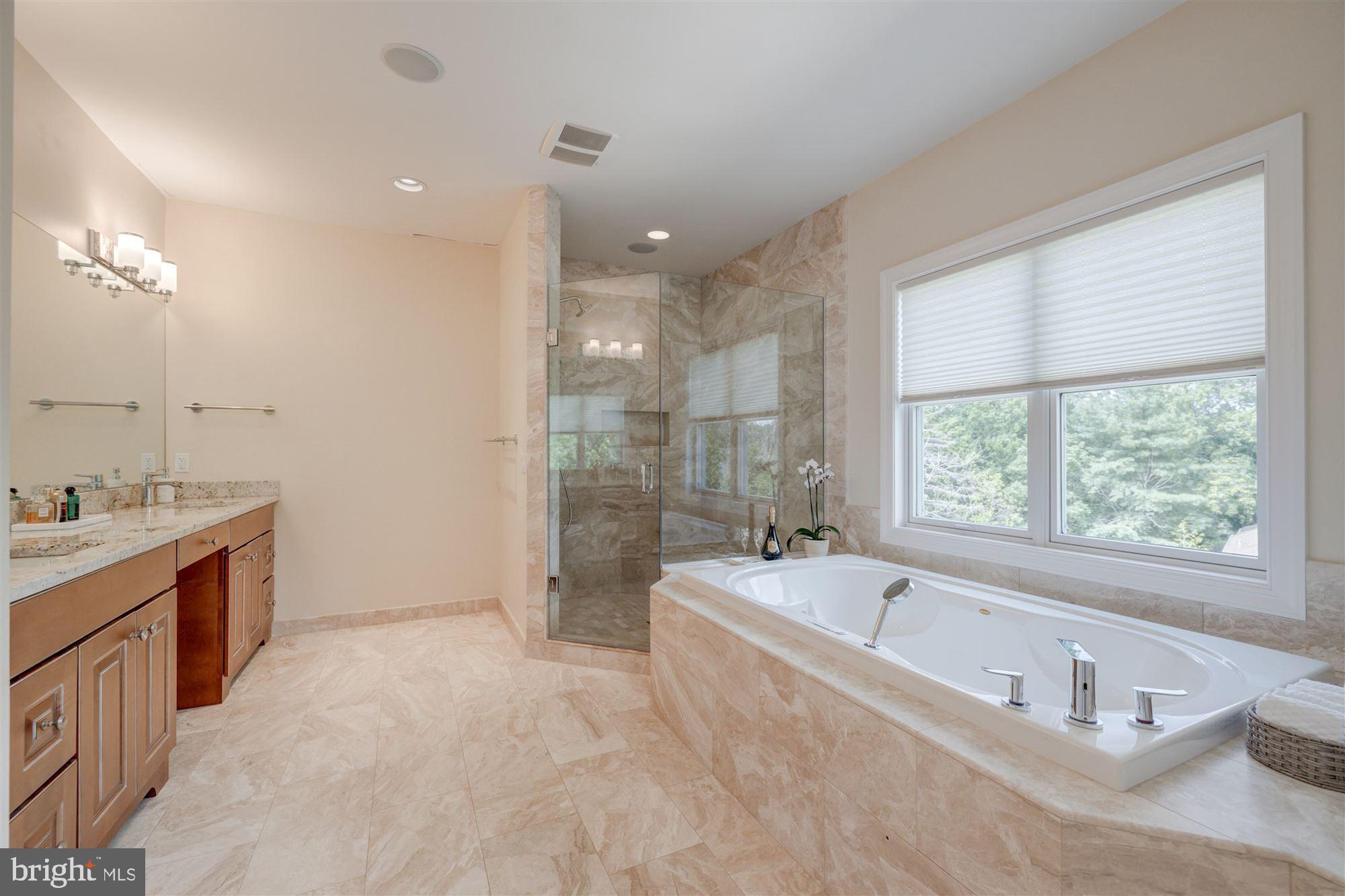 9810 Hall Road Potomac, MD 20854 - Photo 38 of 77 rainfall shower