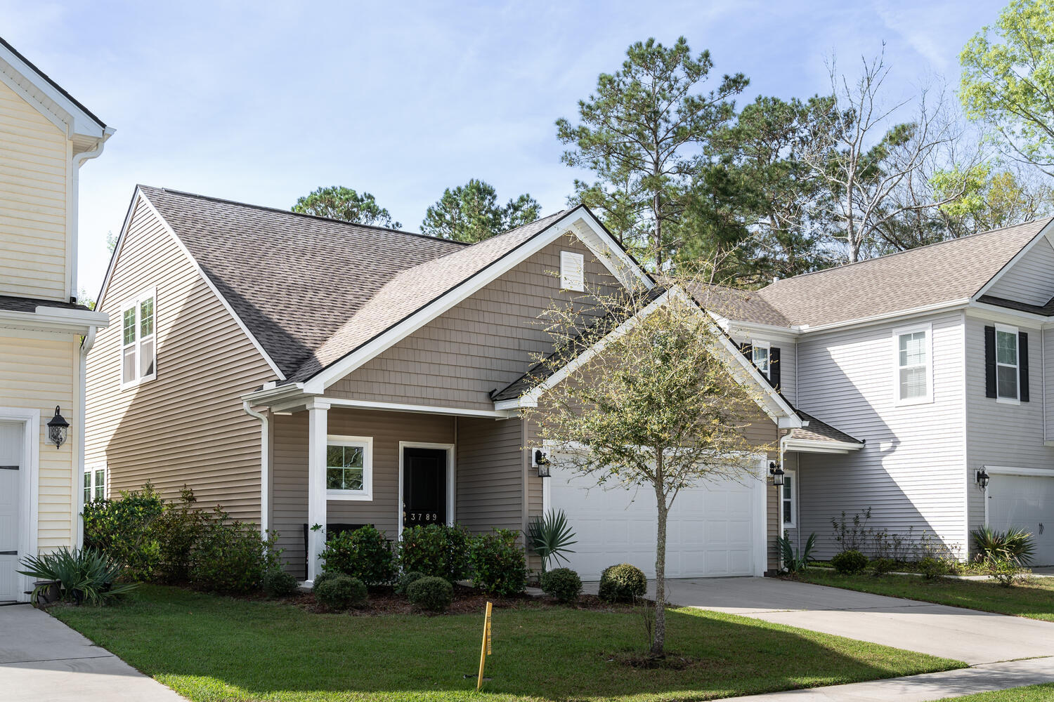 3788 Tupelo Branch Row Mt Pleasant SC 29