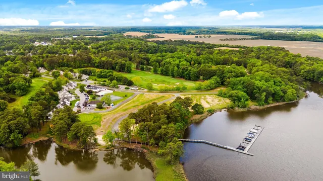 a view of a lake with a city