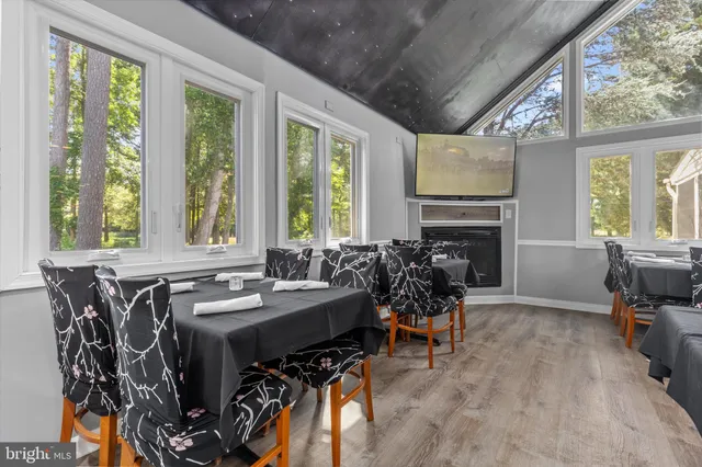 a view of a park with large trees