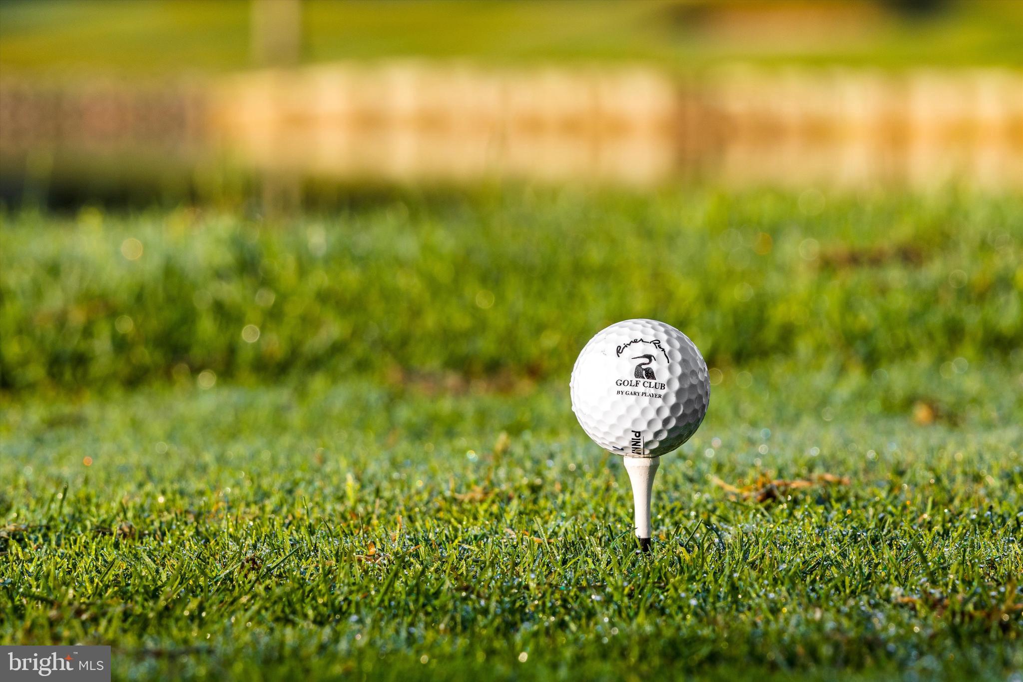 Lot #165 River Run Lane Berlin, MD 21811 - Photo 41 of 42 a view of a lake with a yard
