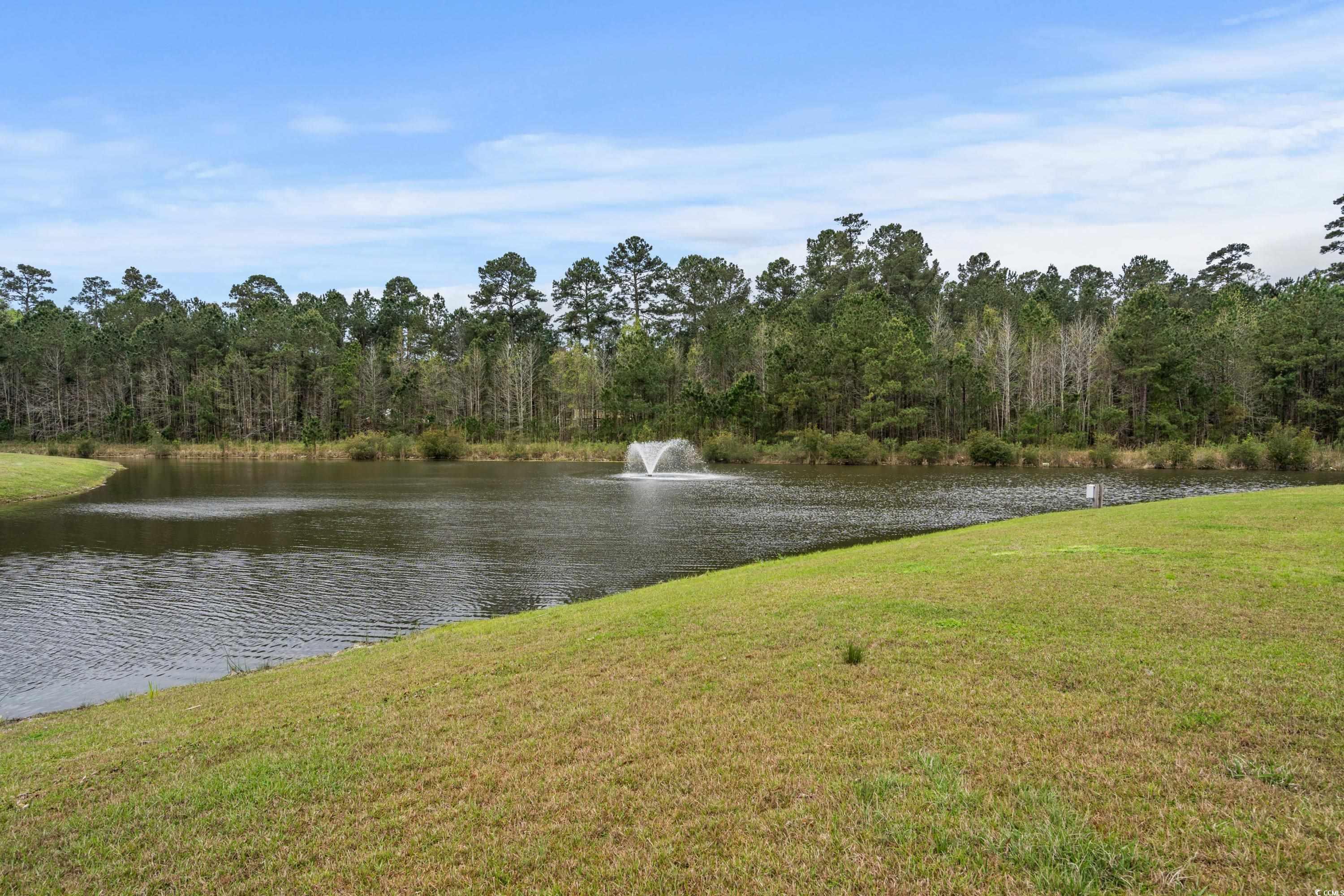 548 Majorca Loop Myrtle Beach, SC 29579 - Photo 29 of 37 Gallery Image 29
