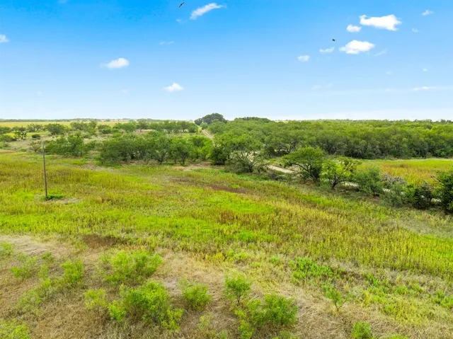 a view of an ocean from a yard