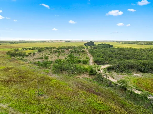 a view of an ocean from a yard
