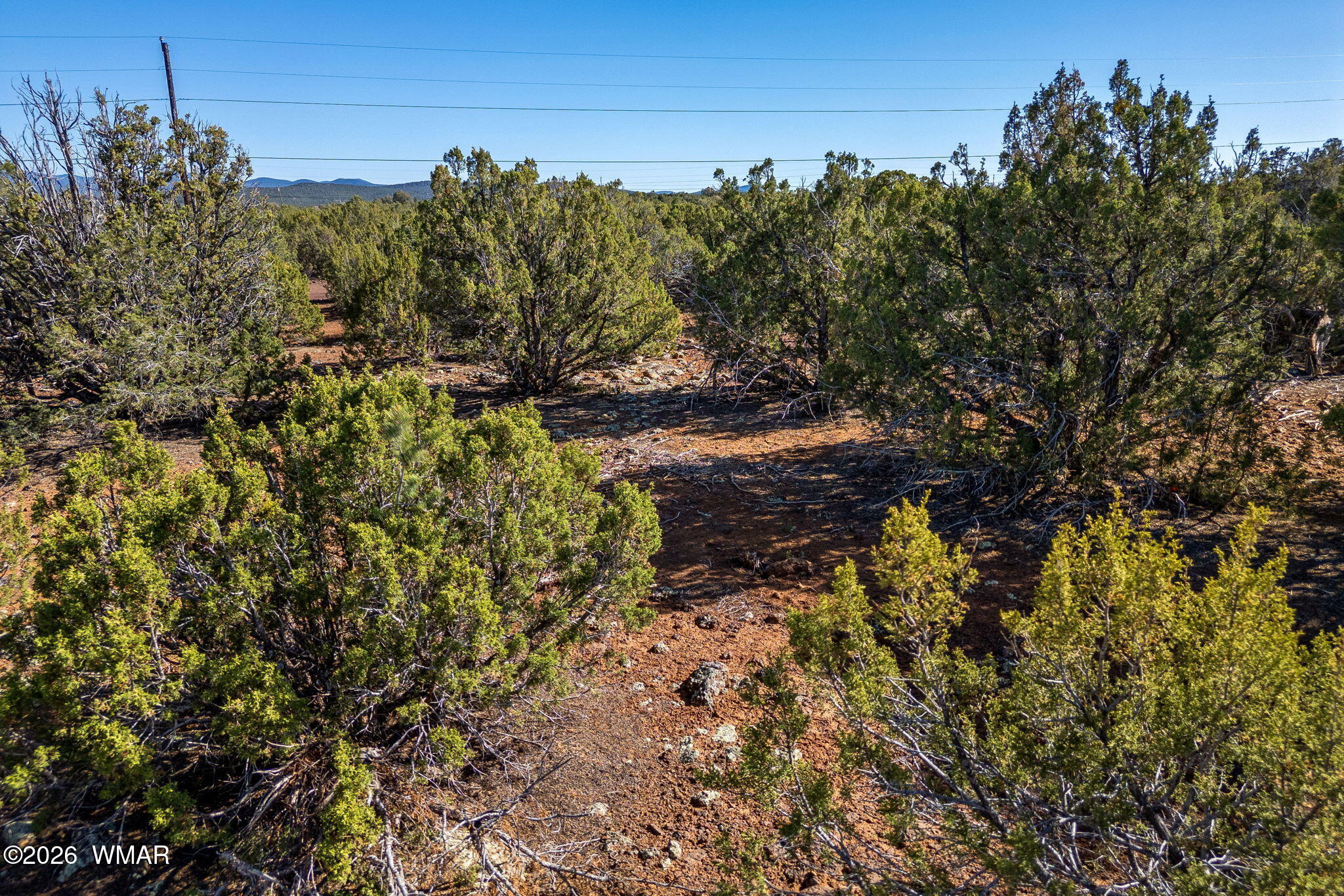 233 Co Concho, AZ 85924 - Photo 18 of 18 a view of a bunch of trees and bushes