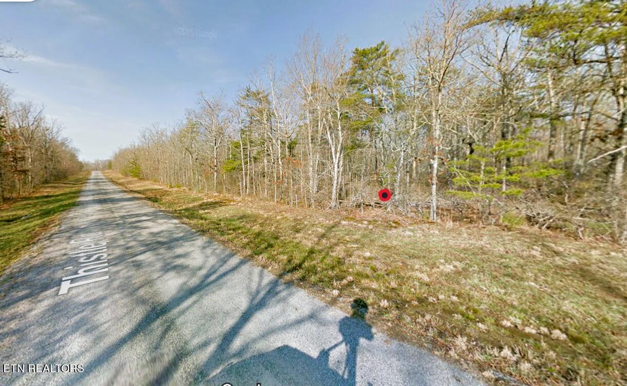 Lot 7 Thistle Road Monterey, TN 38574 - Photo 11 of 24 Screenshot (311)