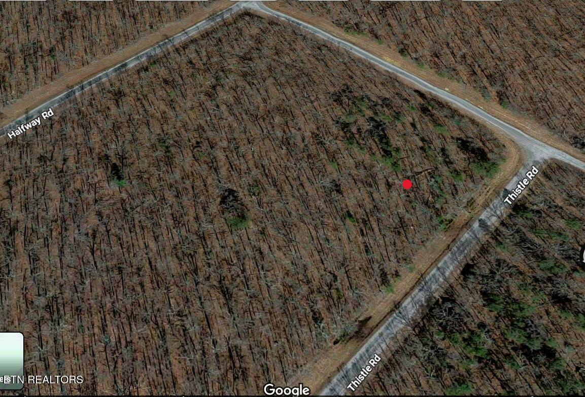 Lot 7 Thistle Road Monterey, TN 38574 - Photo 18 of 24 Screenshot (317)