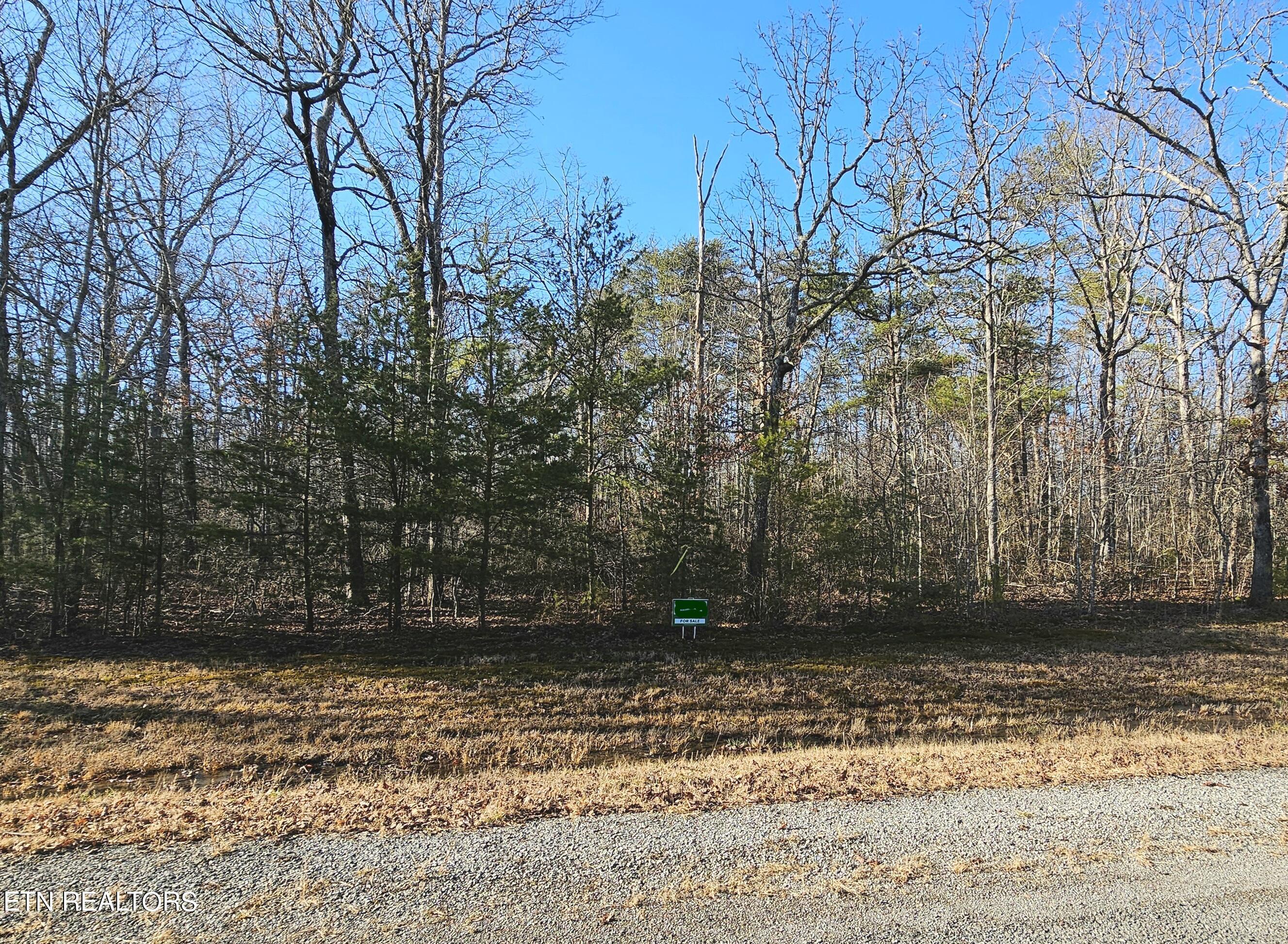 Lot 7 Thistle Road Monterey, TN 38574 - Photo 2 of 24 20240213_151851