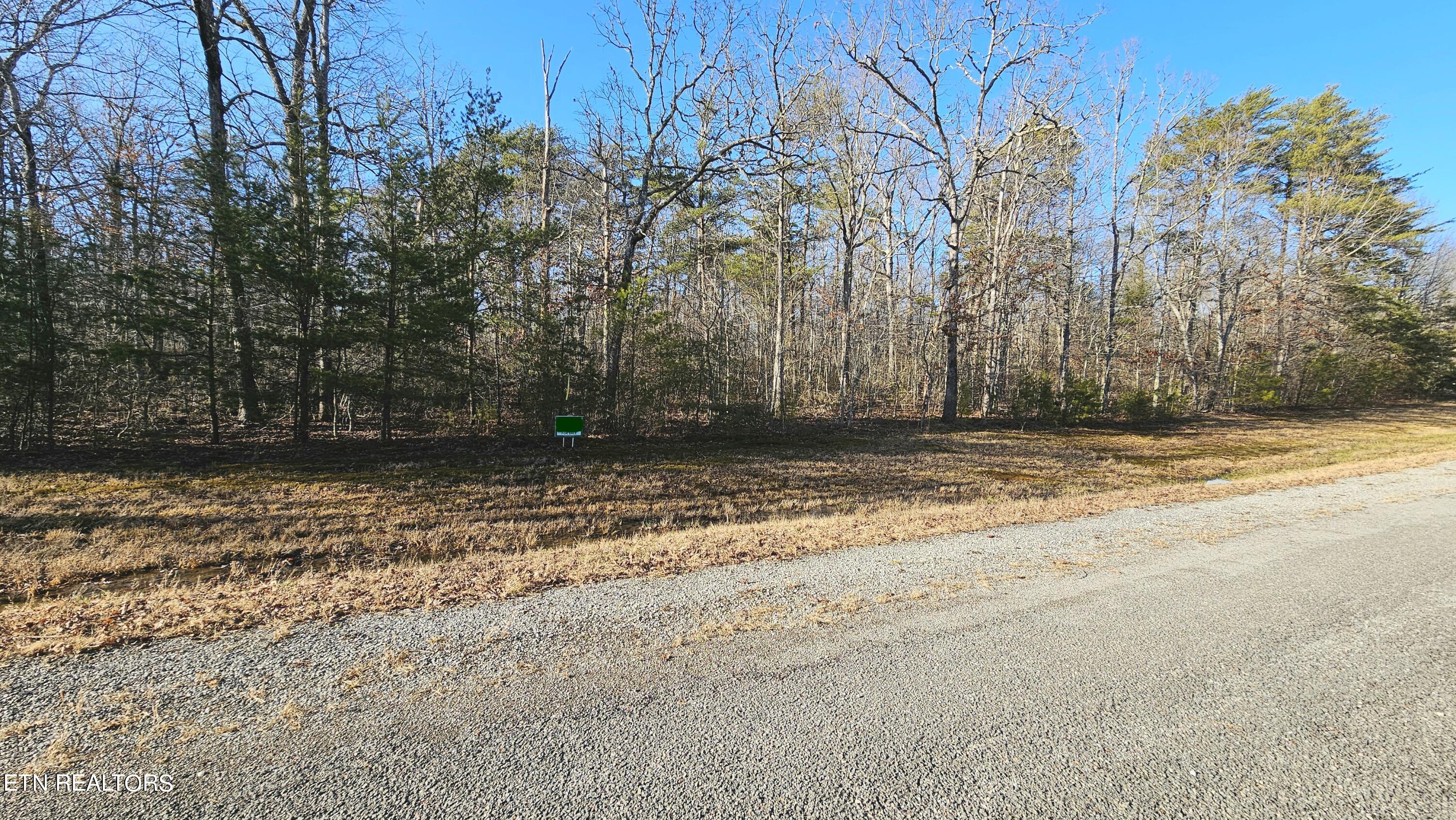 Lot 7 Thistle Road Monterey, TN 38574 - Photo 5 of 24 20240213_151836