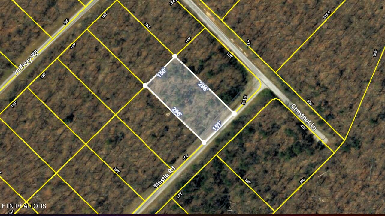 Lot 7 Thistle Road Monterey, TN 38574 - Photo 7 of 24 Screenshot (306)