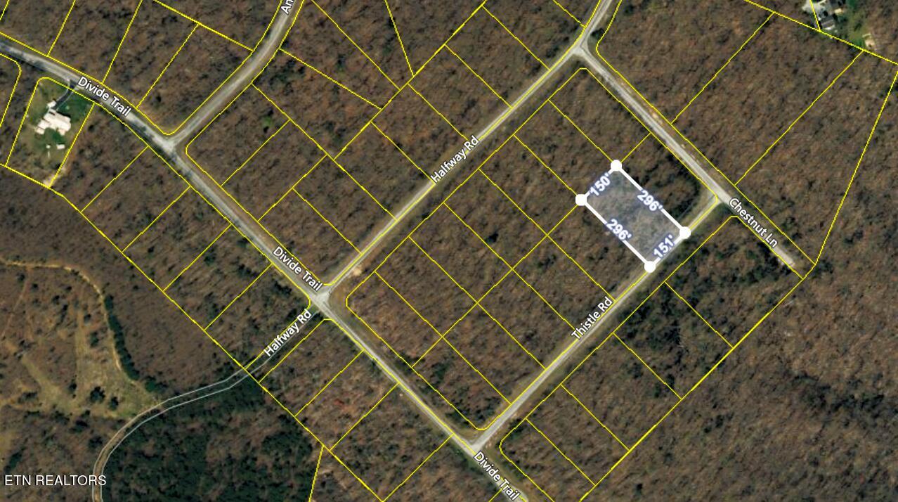 Lot 7 Thistle Road Monterey, TN 38574 - Photo 8 of 24 Screenshot (305)