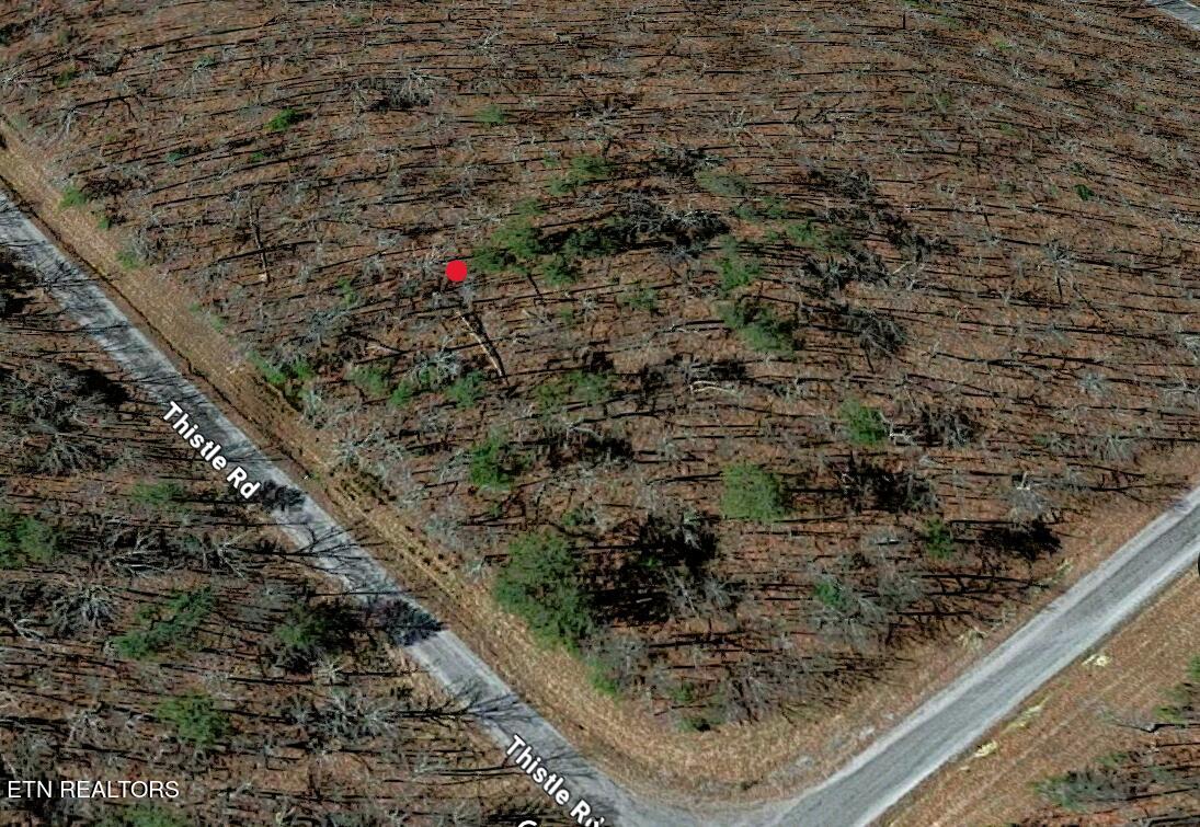 Lot 7 Thistle Road Monterey, TN 38574 - Photo 9 of 24 Screenshot (313)