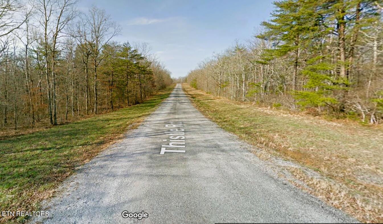 Lot 7 Thistle Road Monterey, TN 38574 - Photo 10 of 24 Screenshot (307)