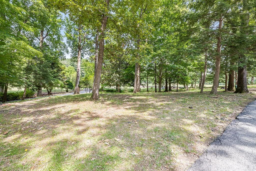 8569 Jefferson Road Commerce, GA 30529 - Photo 73 of 82 a view of outdoor space with deck and trees