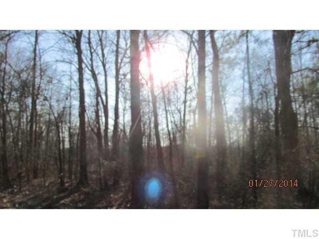 Tbd Lower Moncure Road, Unit X Sanford, NC 27330 - Photo 2 of 4