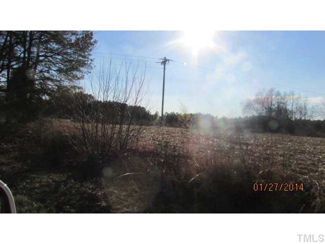 Tbd Lower Moncure Road, Unit X Sanford, NC 27330 - Photo 3 of 4