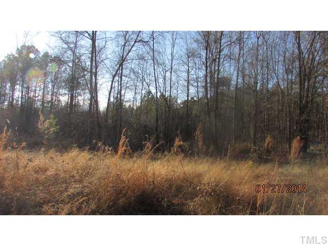 Tbd Lower Moncure Road, Unit X Sanford, NC 27330 - Photo 4 of 4