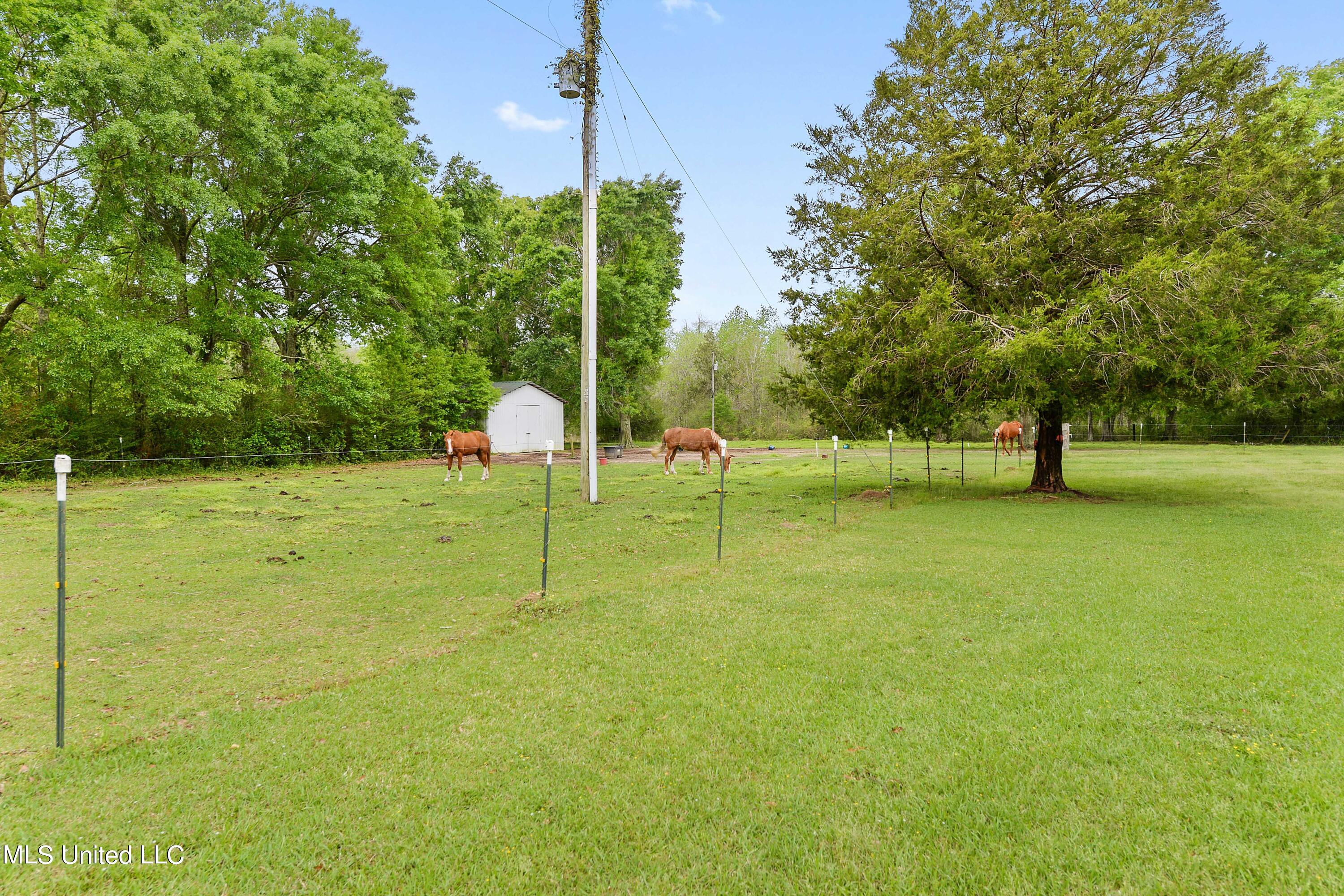 361 Price Road Perkinston, MS 39573 - Photo 29 of 40 030