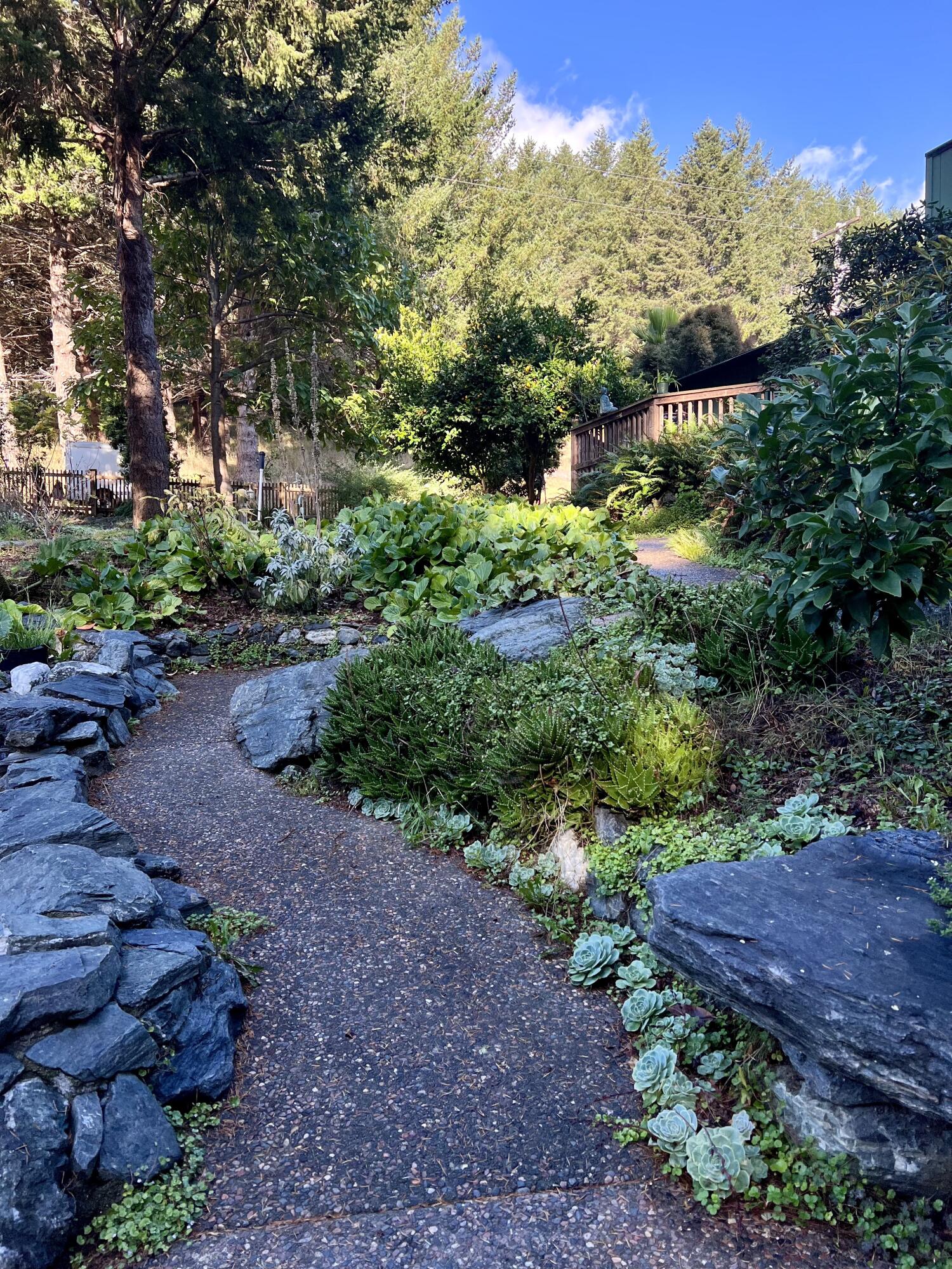 482 Spring Road Shelter Cove, CA 95589 - Photo 40 of 58 NEW Walkway