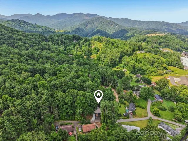 a view of a lush green hillside and a houses