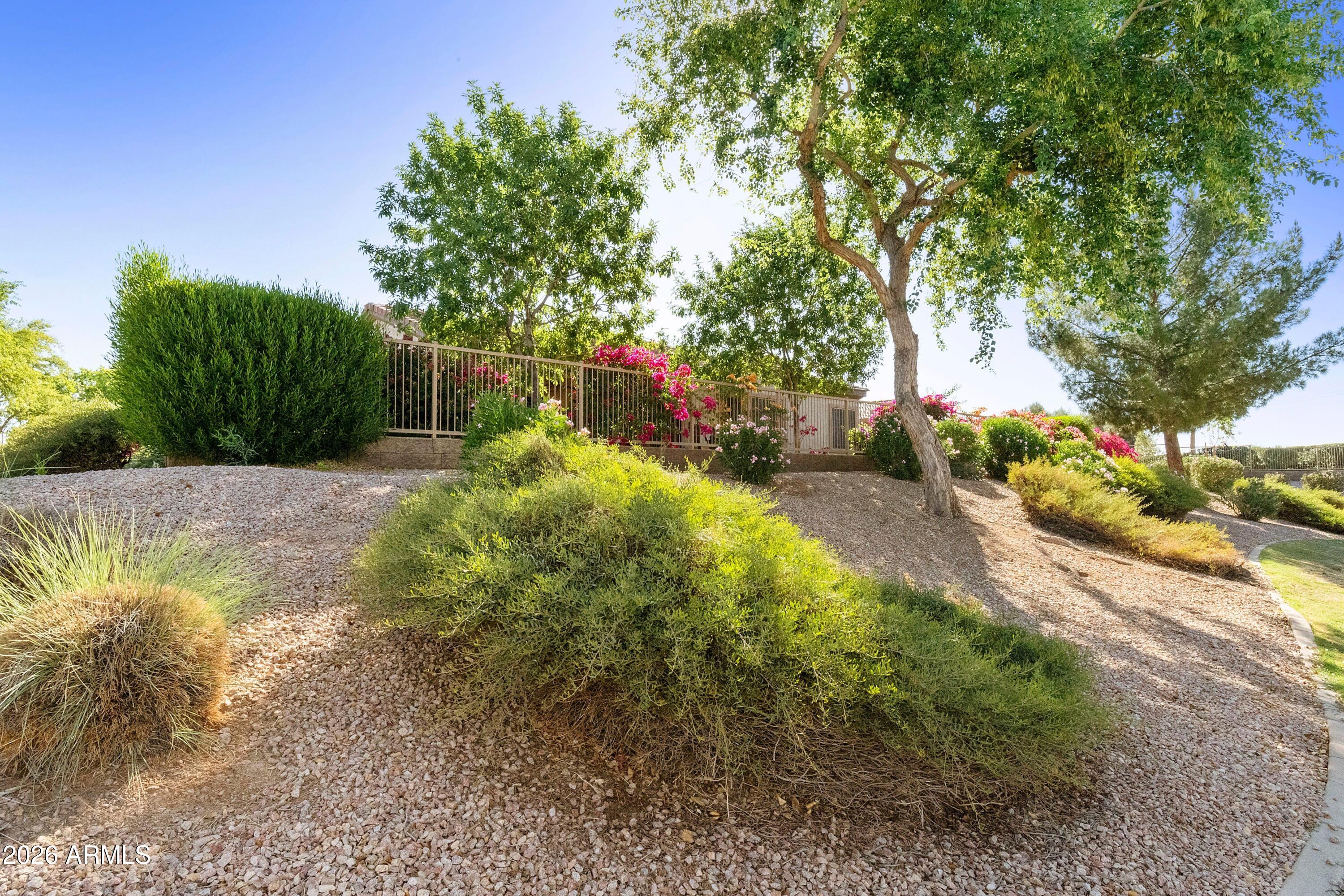 4239 East Ficus Way Gilbert, AZ 85298 - Photo 54 of 77