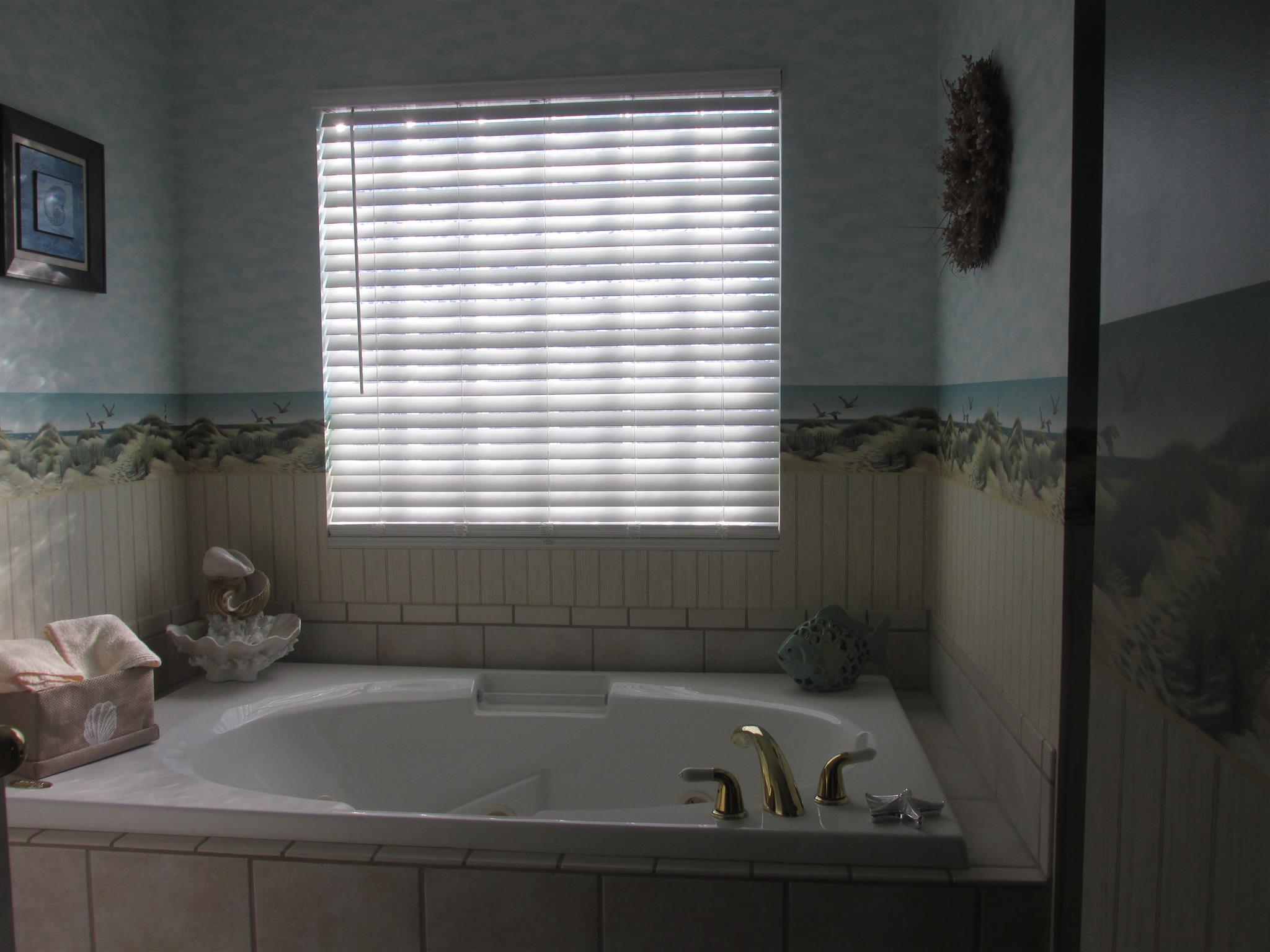 1244 Denny Road Dickson, TN 37055 - Photo 15 of 16 Relax in the whirlpool tub