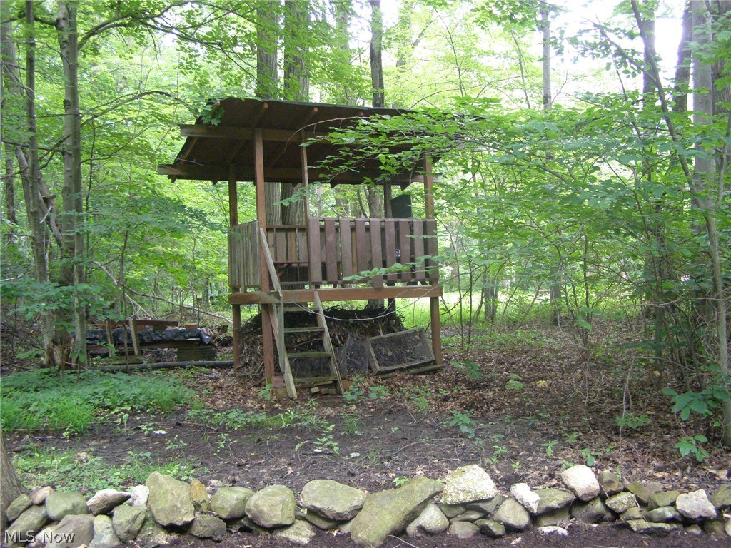 11399 County Line Road Chesterland, OH 44026 - Photo 19 of 24 The kids will love the tree house in the rear yard.