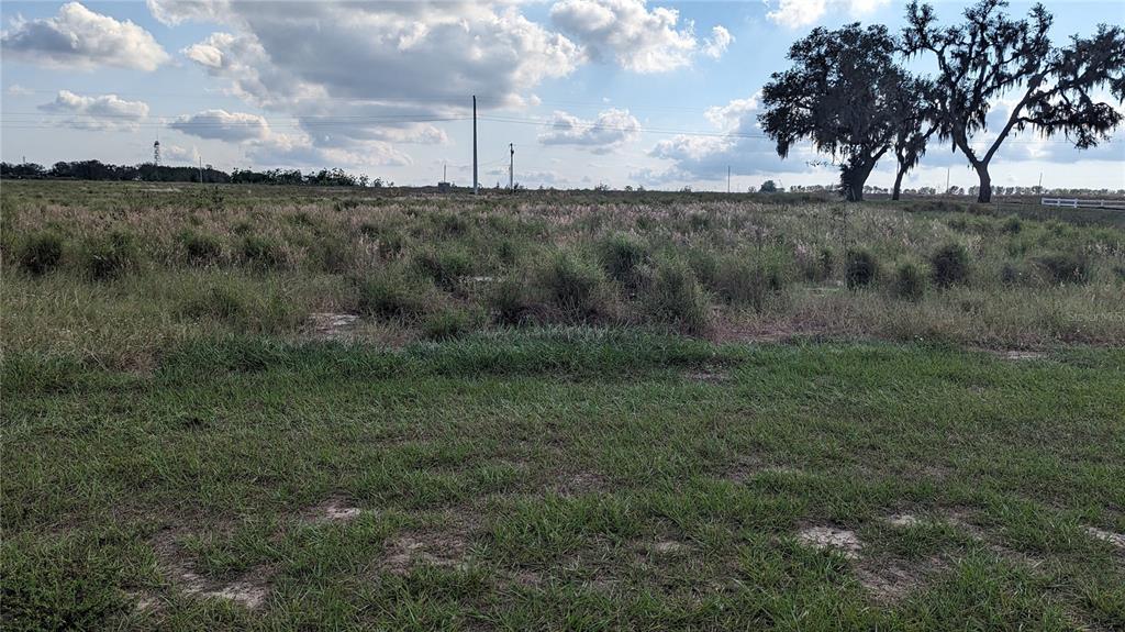 12909 Highway 98 Sebring, FL 33876 - Photo 7 of 10