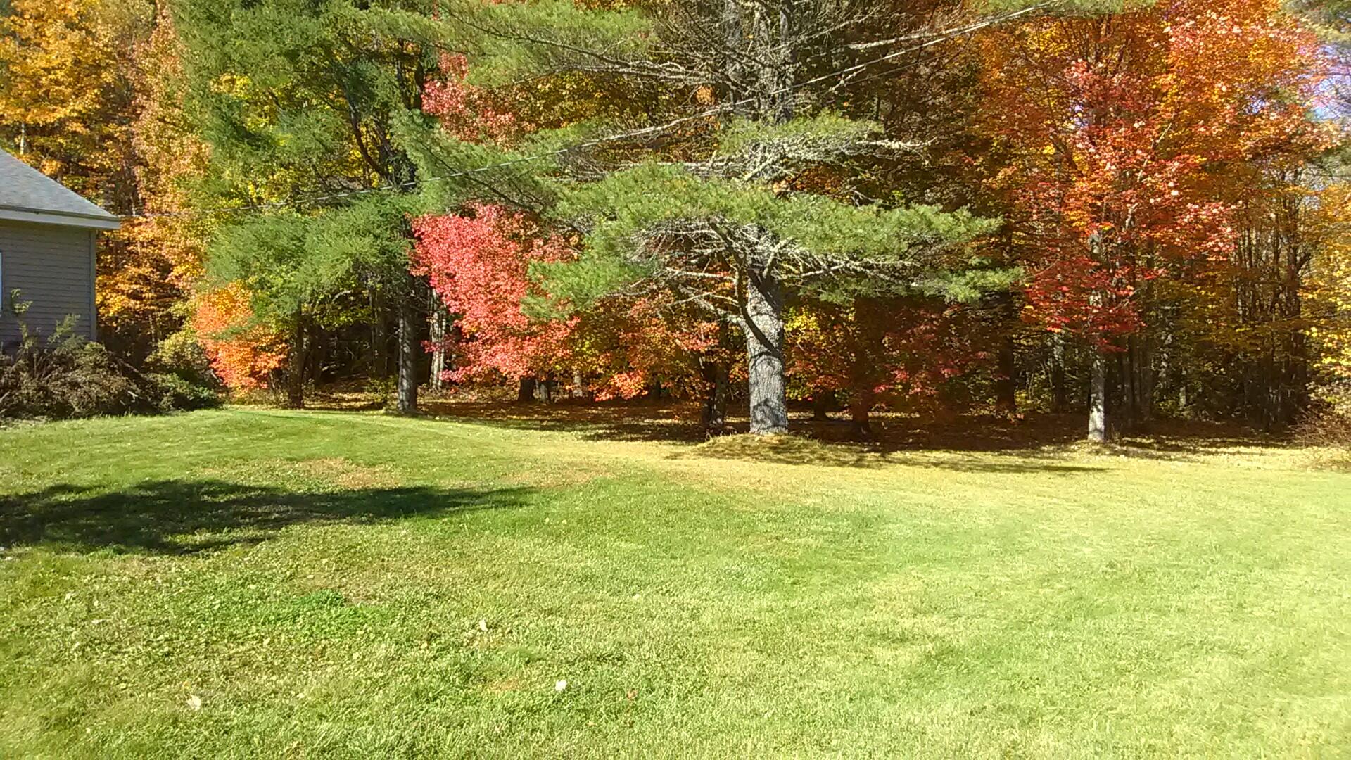 1354 Southgate Road Old Town, ME 04468 - Photo 4 of 51 1E87AF7F-3EA8-4F60-BA65-B342CBC9EABA