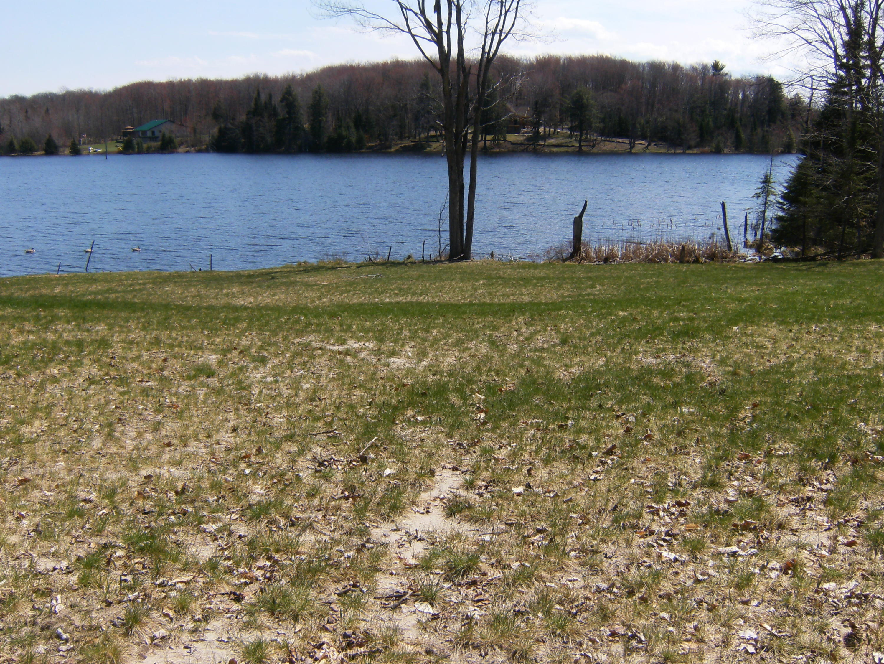 0 Chip Lake Road Germfask, MI 49836 - Photo 5 of 6 Gallery Image 5
