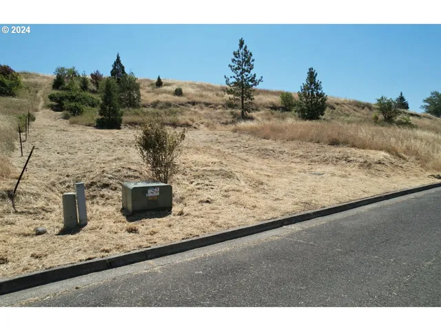 a view of a dry yard