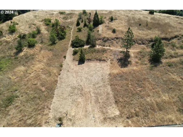 a view of a dry yard