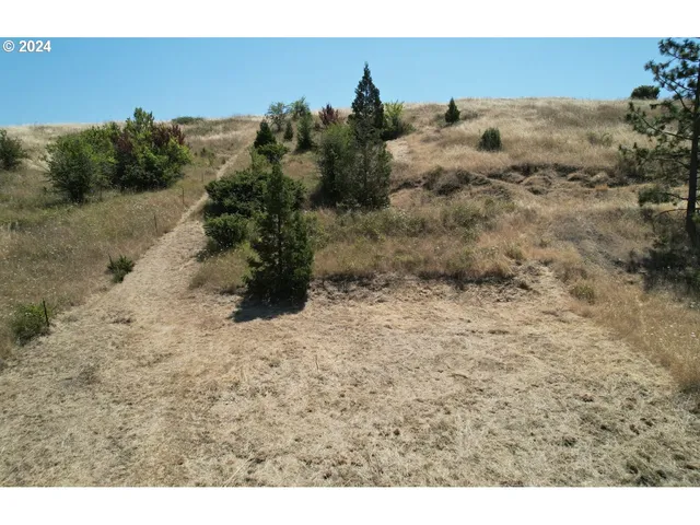 a backyard of a house with a yard