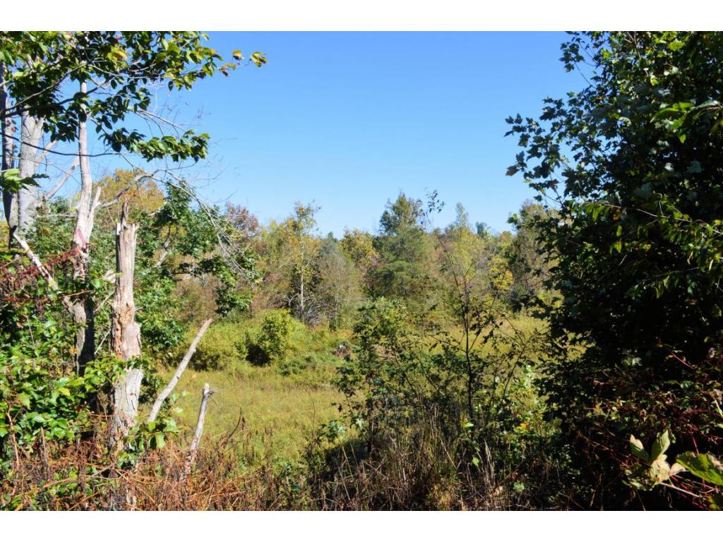 485 South Water Fork Road Greeneville, TN 37743 - Photo 24 of 24 PastureWooded area